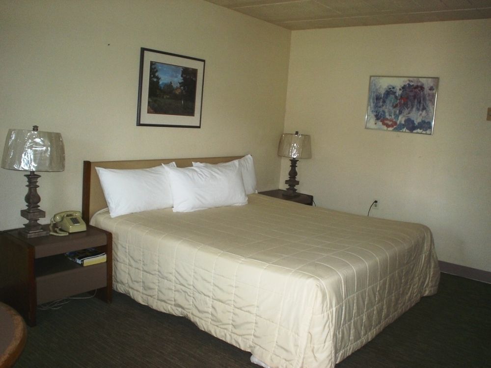 בליין Bayside Motor Inn מראה חיצוני תמונה